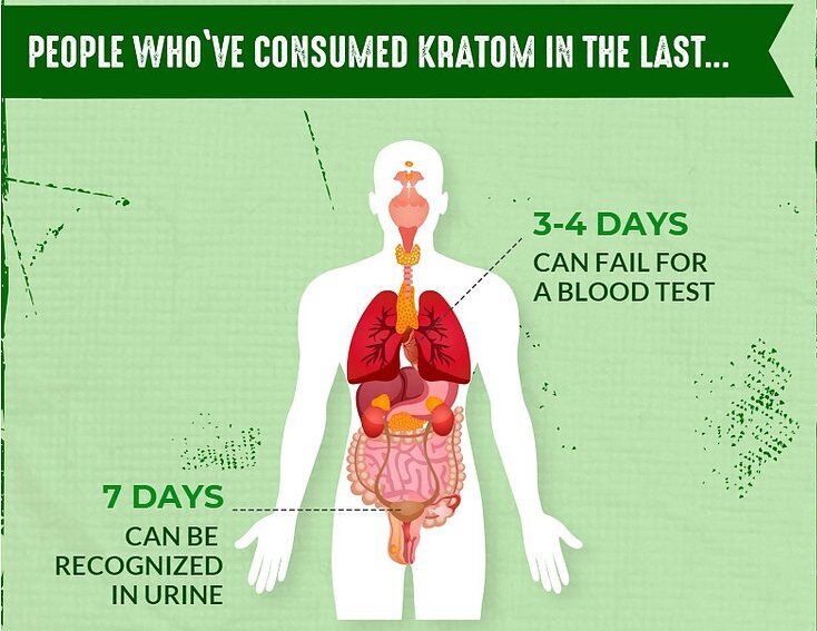Does Kratom Show Up In Drug Tests