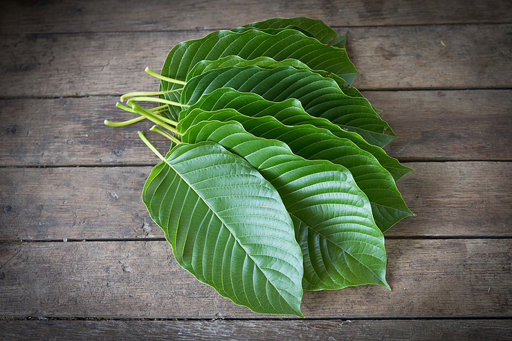 What is the Right Kratom Dose?