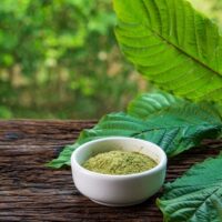 What is Kratom Like An Educational Guide With Everything to Know 850x491 1