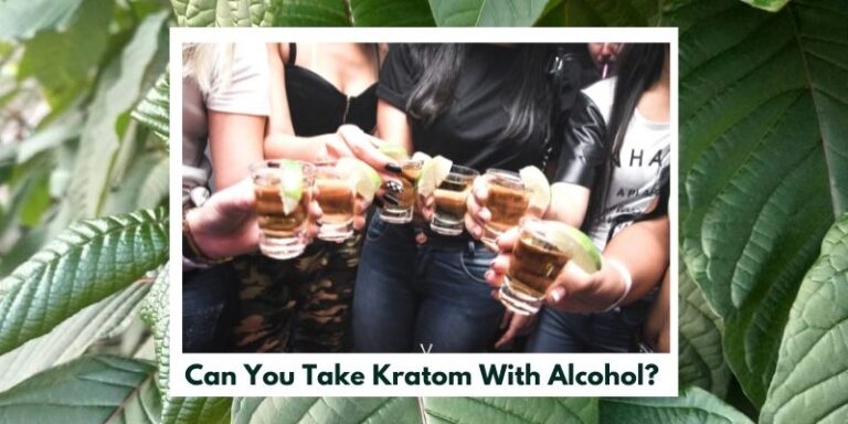 Can You Take Kratom With Alcohol?