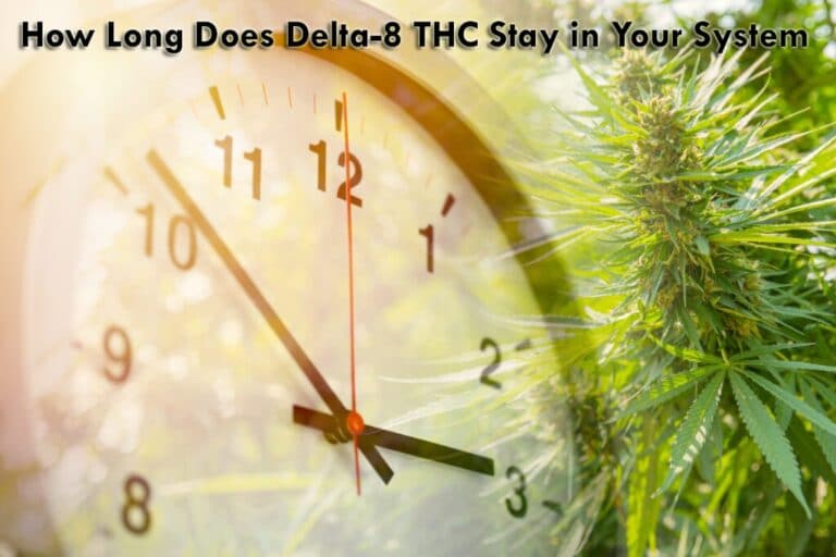 How Long Does Delta-8 THC Stay in Your System?
