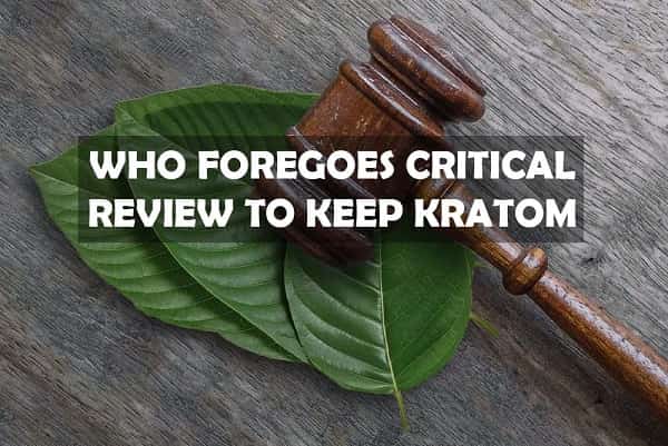 WHO Foregoes Critical Review to Keep Kratom Legal