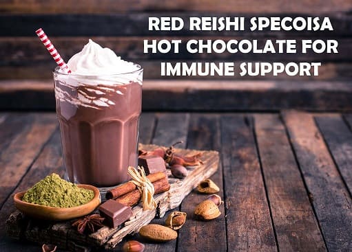 Red Reishi Specoisa Hot Chocolate For Immune Support