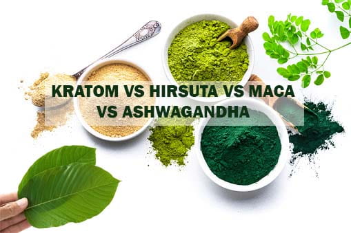 Kratom vs Hirsuta vs Maca vs Ashwagandha