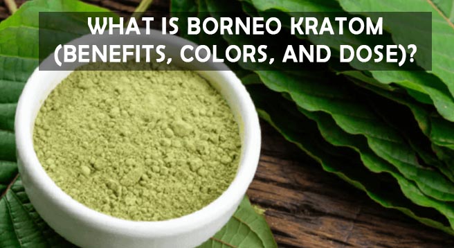 What is Borneo Kratom (Benefits, Colors, and Dose)?