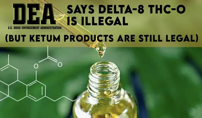 DEA Says Delta-8 THC-O is ILLEGAL (But Ketum Products are Still Legal)