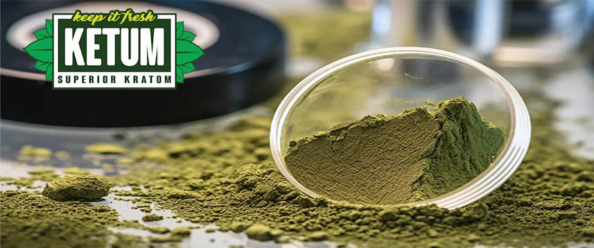 The Synergistic Effects of Caffeine and Kratom