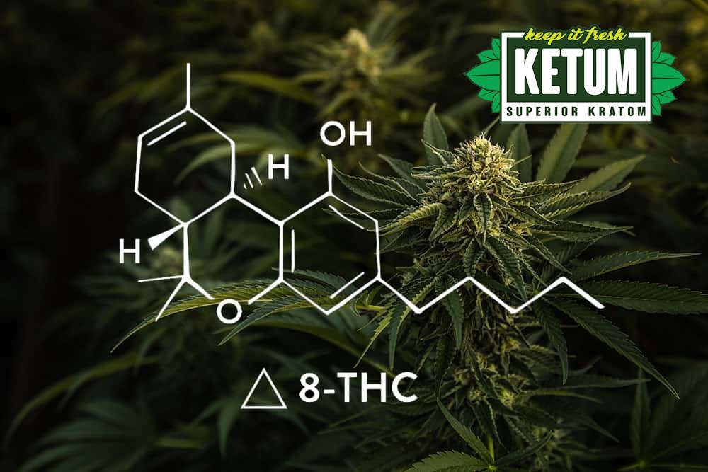 Delta 8 THC: Uses, Effects, And Dosage